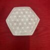 Selenite Esagoni con Fiore della Vita