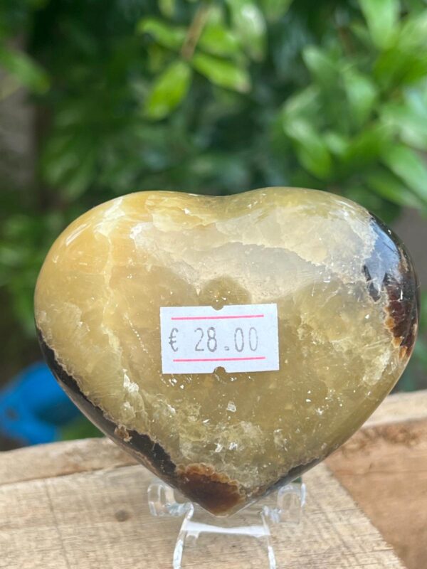 Cuore Di Septaria Madagascar - immagine 2