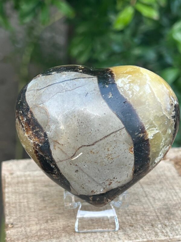 Cuore Di Septaria Madagascar - immagine 3