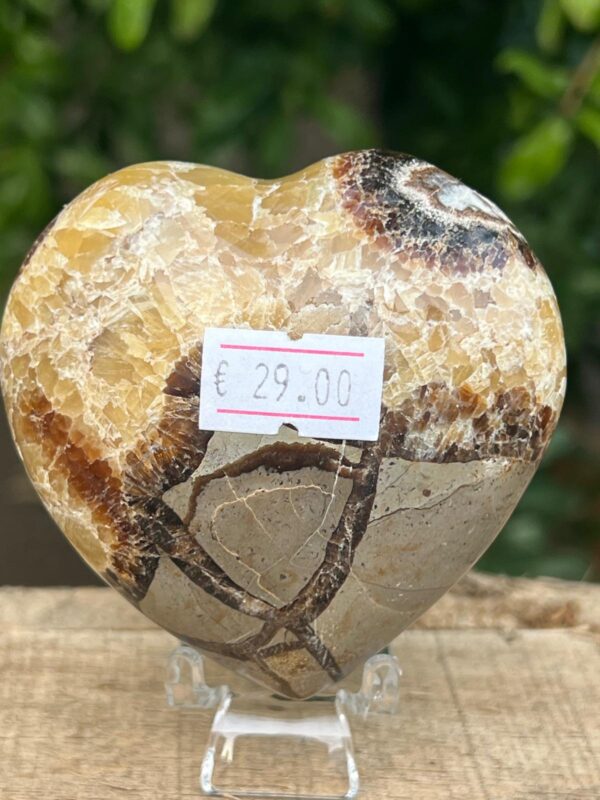 Cuore Di Septaria Madagascar - immagine 4