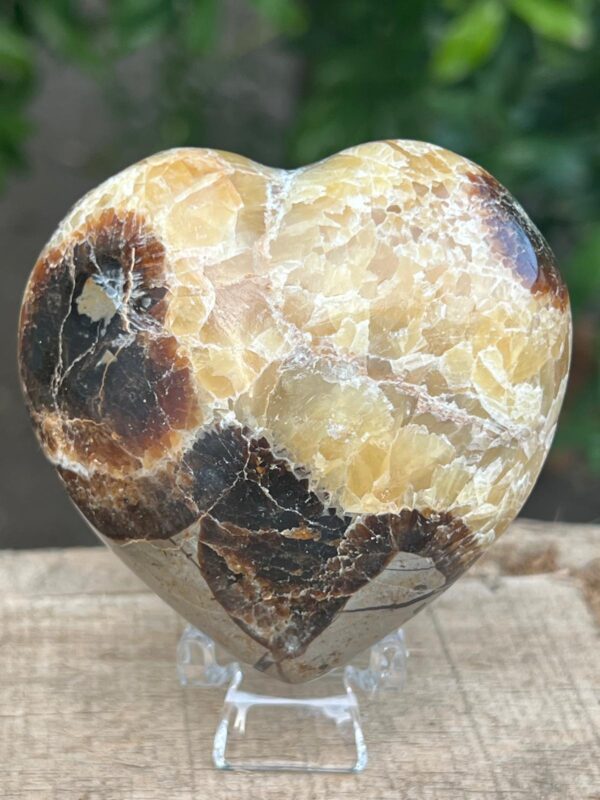 Cuore Di Septaria Madagascar - immagine 5