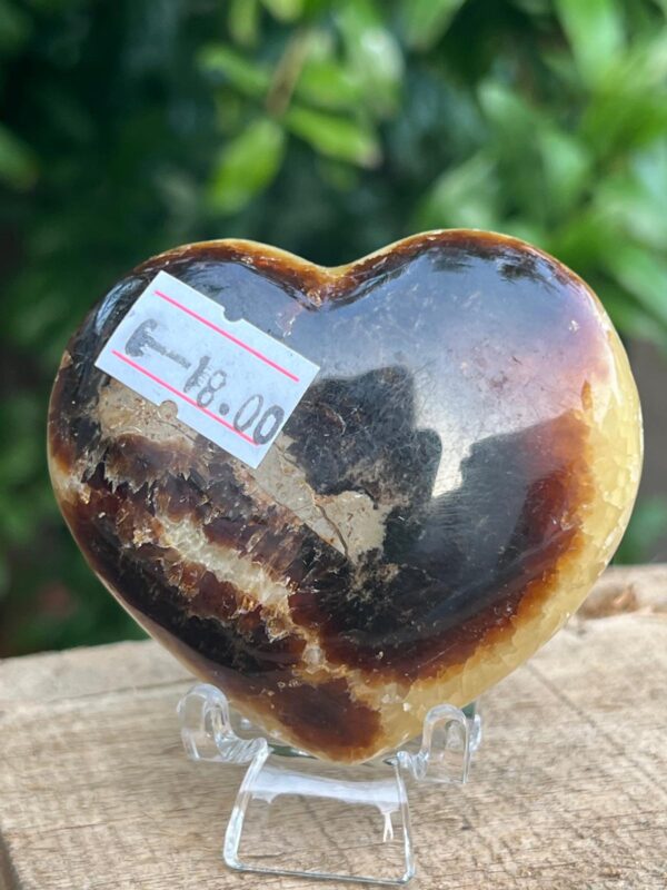 Cuore Di Septaria Madagascar - immagine 6