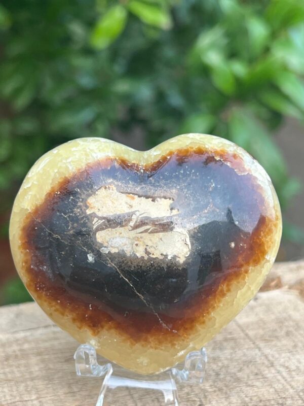 Cuore Di Septaria Madagascar - immagine 7