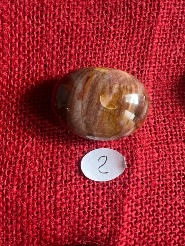 Burattata di Legno Fossile - immagine 3