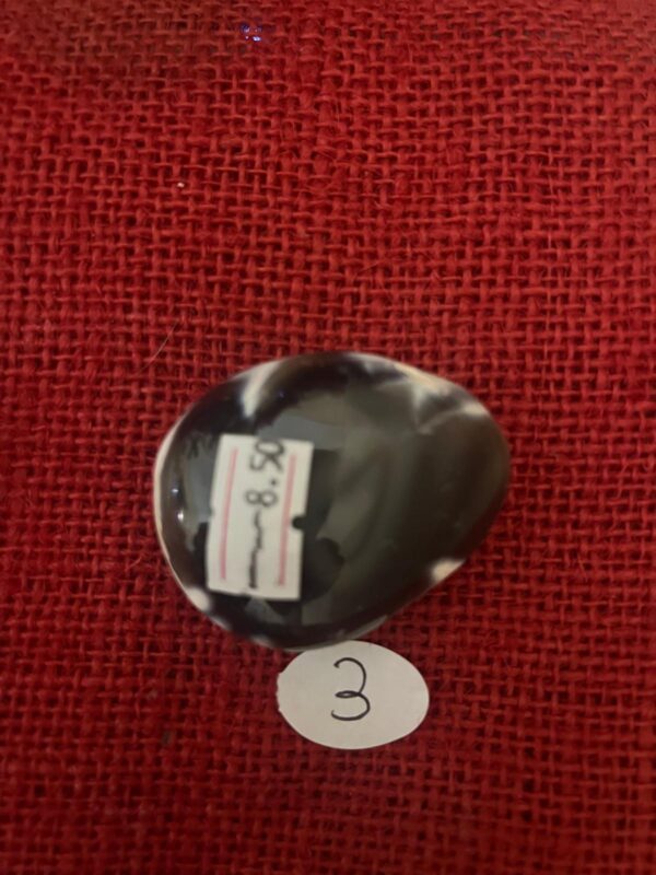 Palmstone di Agata Orca - immagine 6