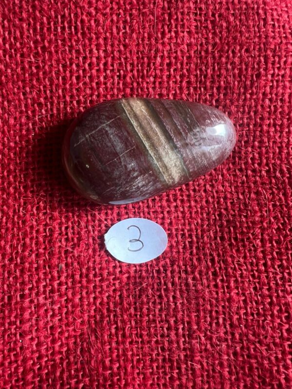 Burattata di Legno Fossile - immagine 4