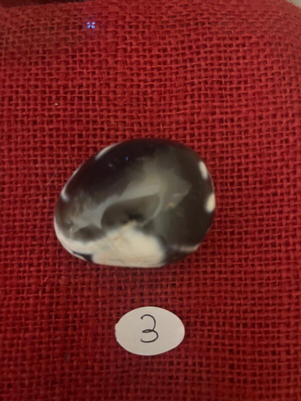 Palmstone di Agata Orca - immagine 7
