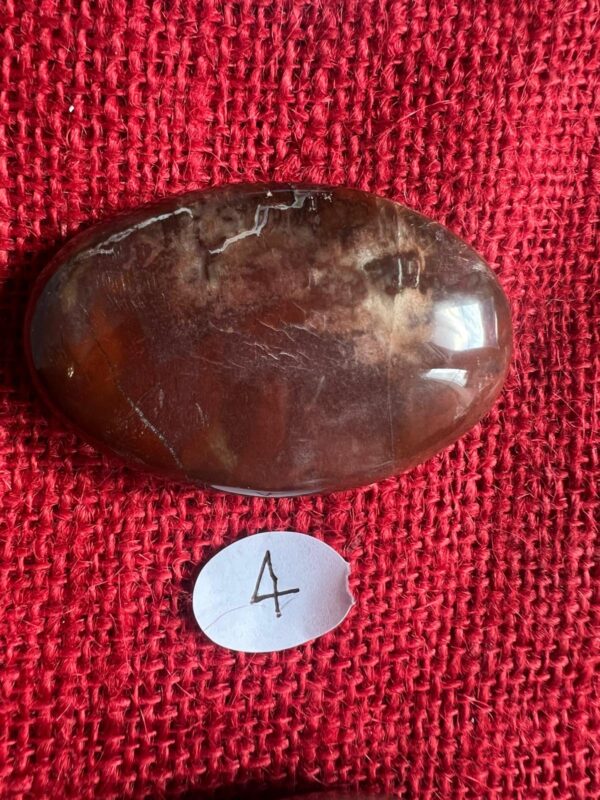 Burattata di Legno Fossile - immagine 5