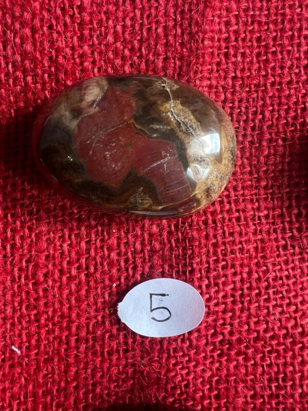 Burattata di Legno Fossile - immagine 6