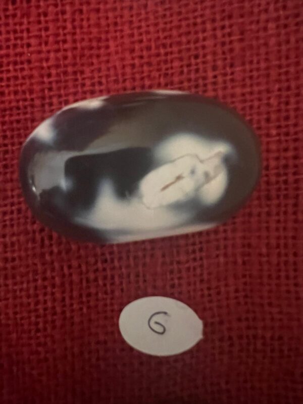 Palmstone di Agata Orca - immagine 12