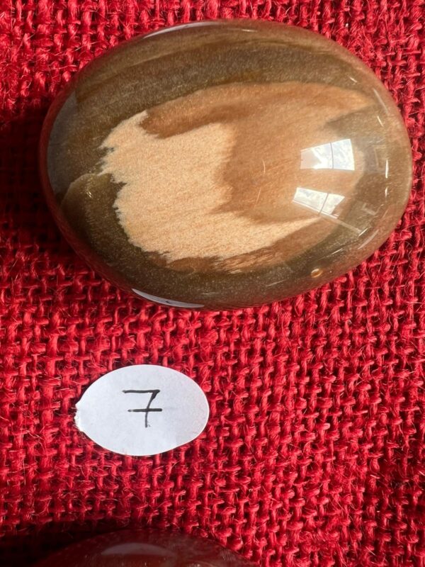 Burattata di Legno Fossile - immagine 8