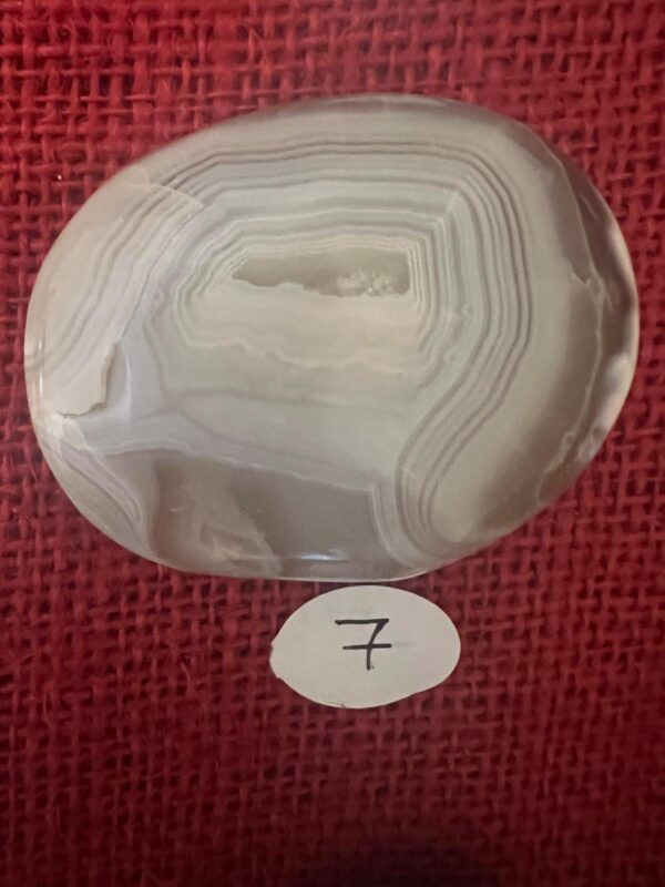 Palmstone di Agata Orca - immagine 14