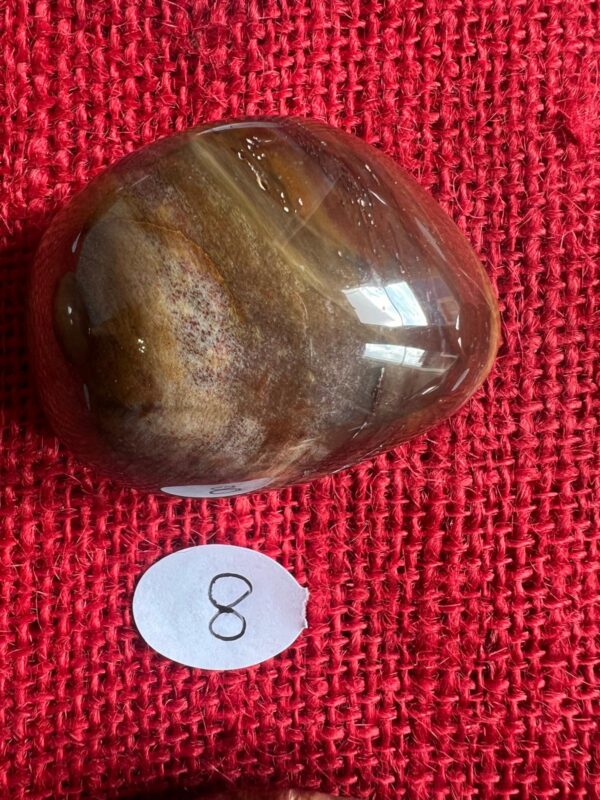 Burattata di Legno Fossile - immagine 9