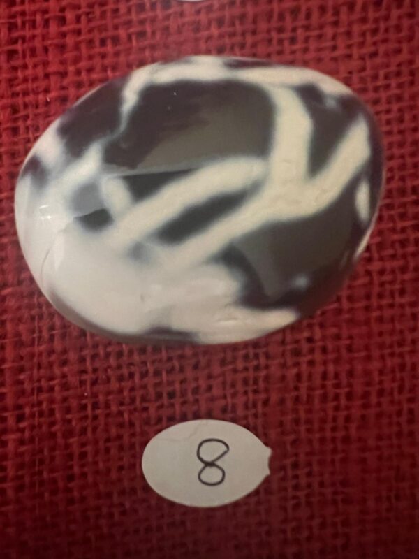 Palmstone di Agata Orca - immagine 16