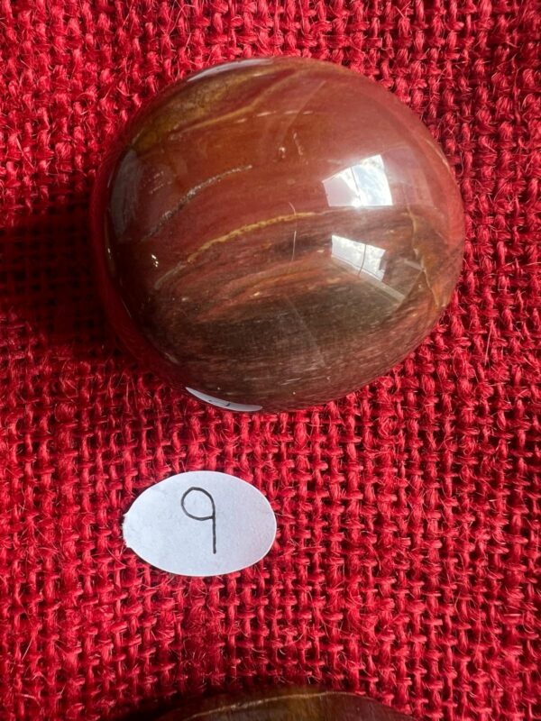 Burattata di Legno Fossile - immagine 10