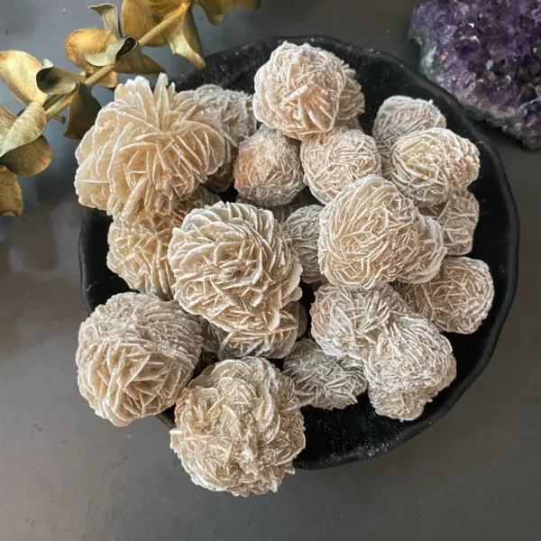 Rosa del Deserto Messicano