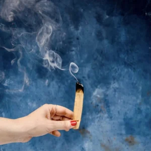 Palo Santo Confezioni da Uno a Dieci bastoncini