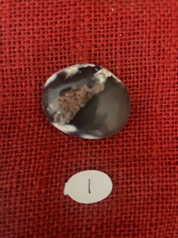 Palmstone di Agata Orca - immagine 3