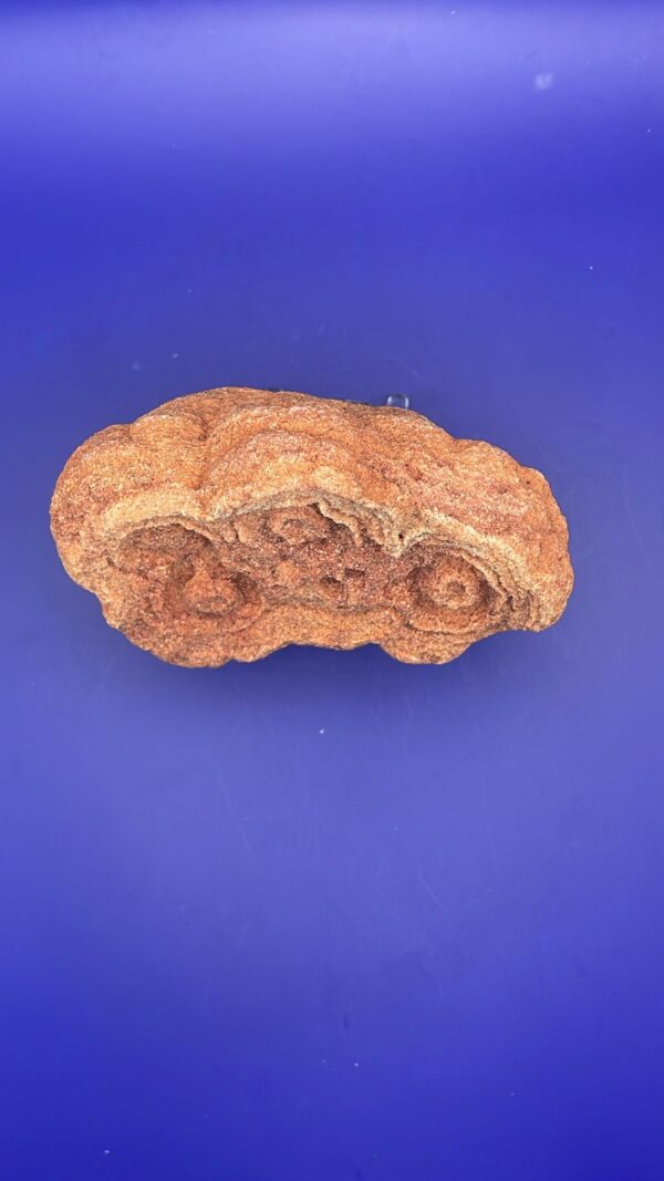 Stromatolite - immagine 2