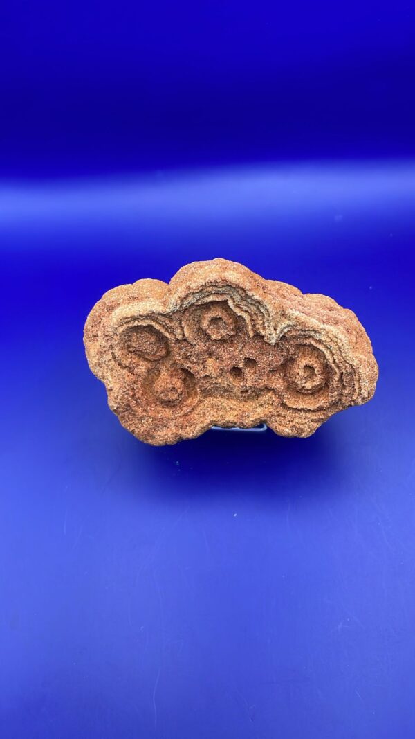 Stromatolite