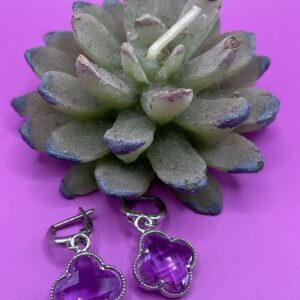 Orecchini Zirconi Cubici Viola Argento