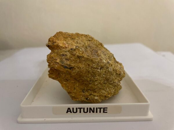 Autunite Collezione