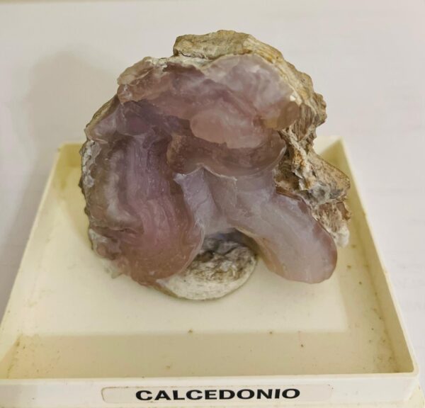 Calcedonio Collezione