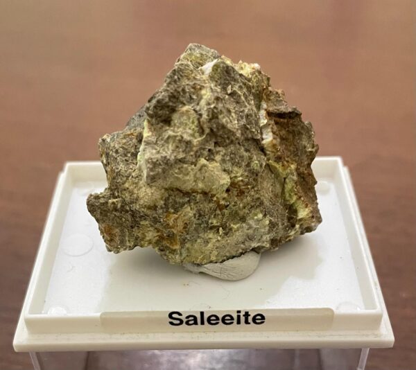 Saleeite Collezione - immagine 2