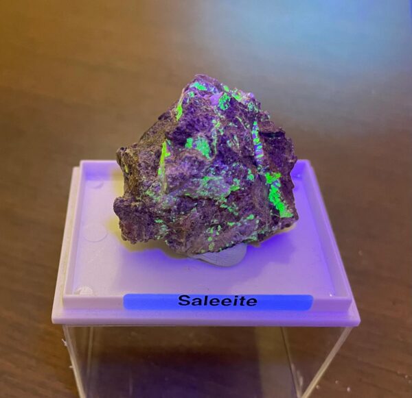 Saleeite Collezione