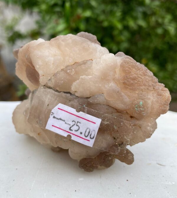 Tartufo in Calcedonio - immagine 2