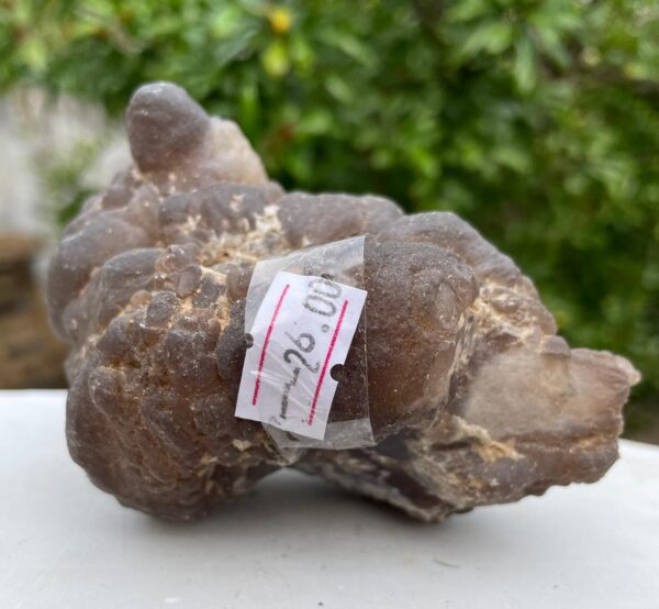 Tartufo in Calcedonio - immagine 3
