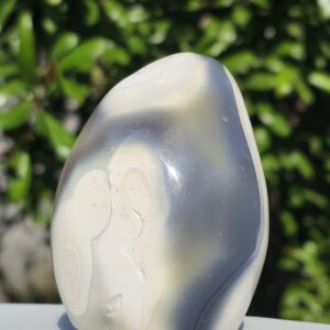 Agata Orca Freeform
