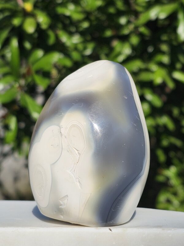 Agata Orca Freeform