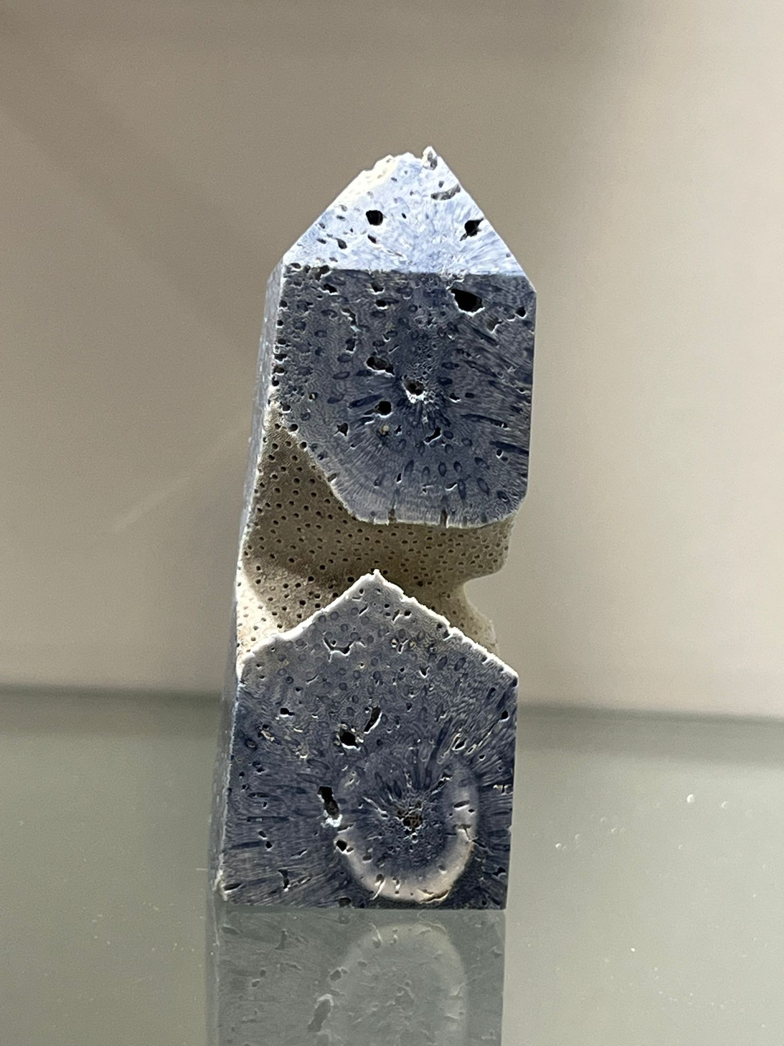 Torri in Corallo Blu - immagine 4