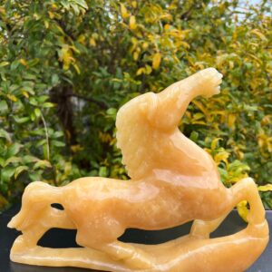 Cavallo Giada Gialla Kg 2300 larga 29 cm  alta 21,5
