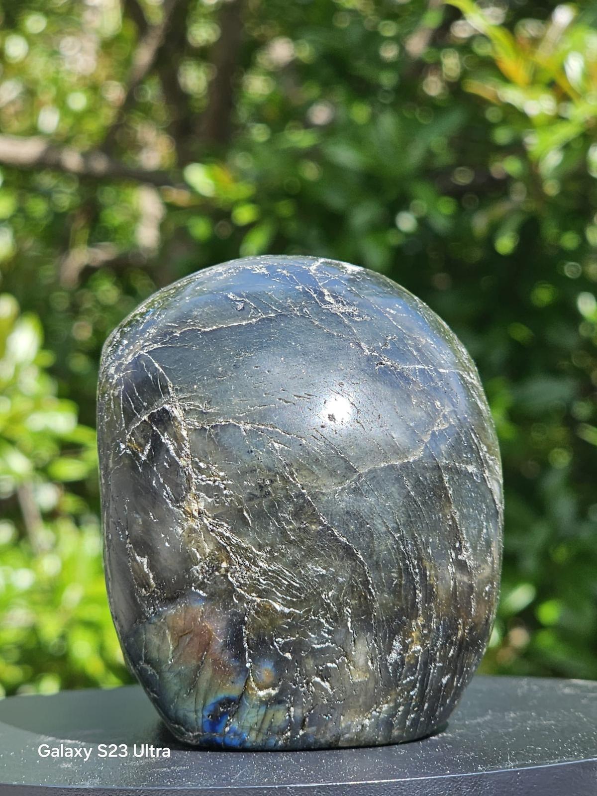 Teschio in Labradorite gr 560 - immagine 3