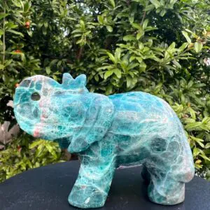 Elefante in apatite gr 348