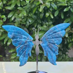 Farfalla Apatite