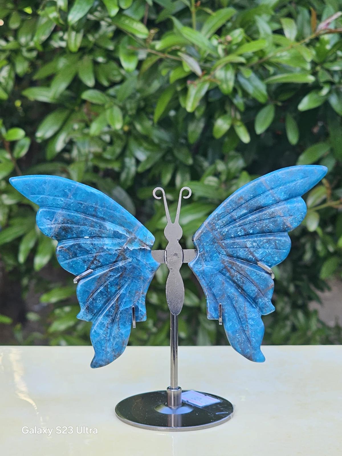 Farfalla Apatite