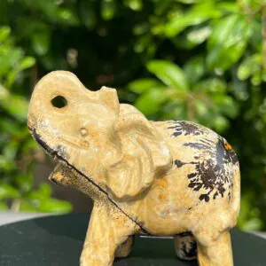 Elefante Diaspro Paesaggio