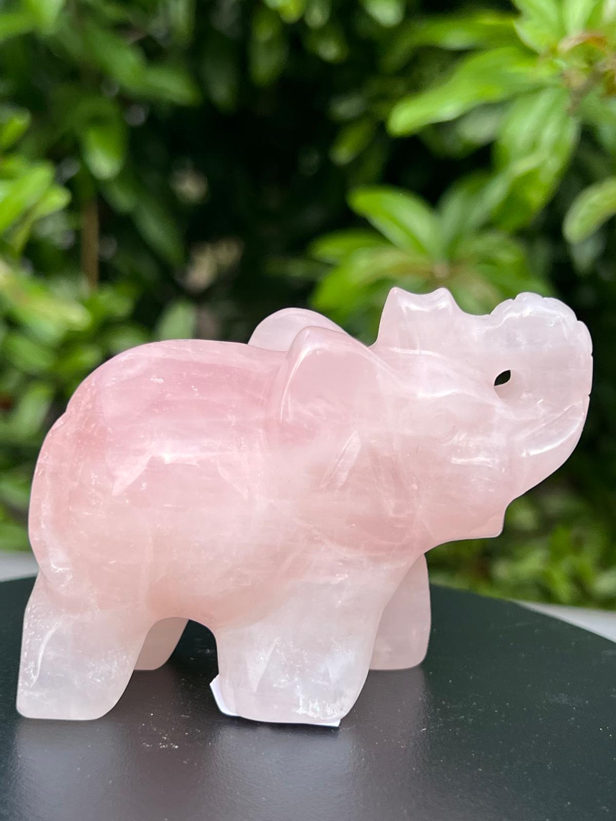 Elefante Quarzo Rosa - immagine 4