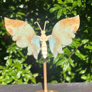 Farfalla in Calcite Caraibica