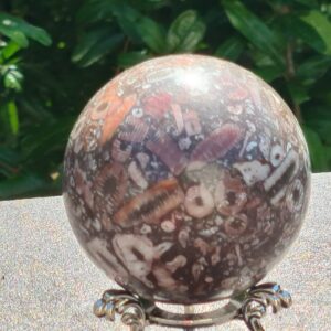 Sfera Conchiglie Simbiotiche e Agata gr 380 dm 6