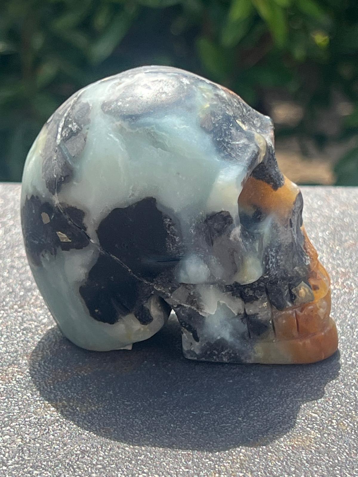 Teschio Calcite Caraibica gr 322 - immagine 2