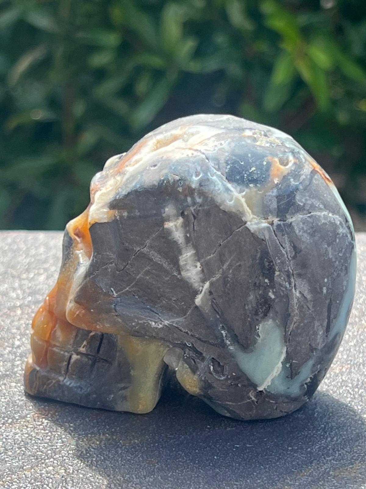 Teschio Calcite Caraibica gr 322 - immagine 4