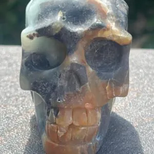 Teschio Calcite Caraibica gr 322