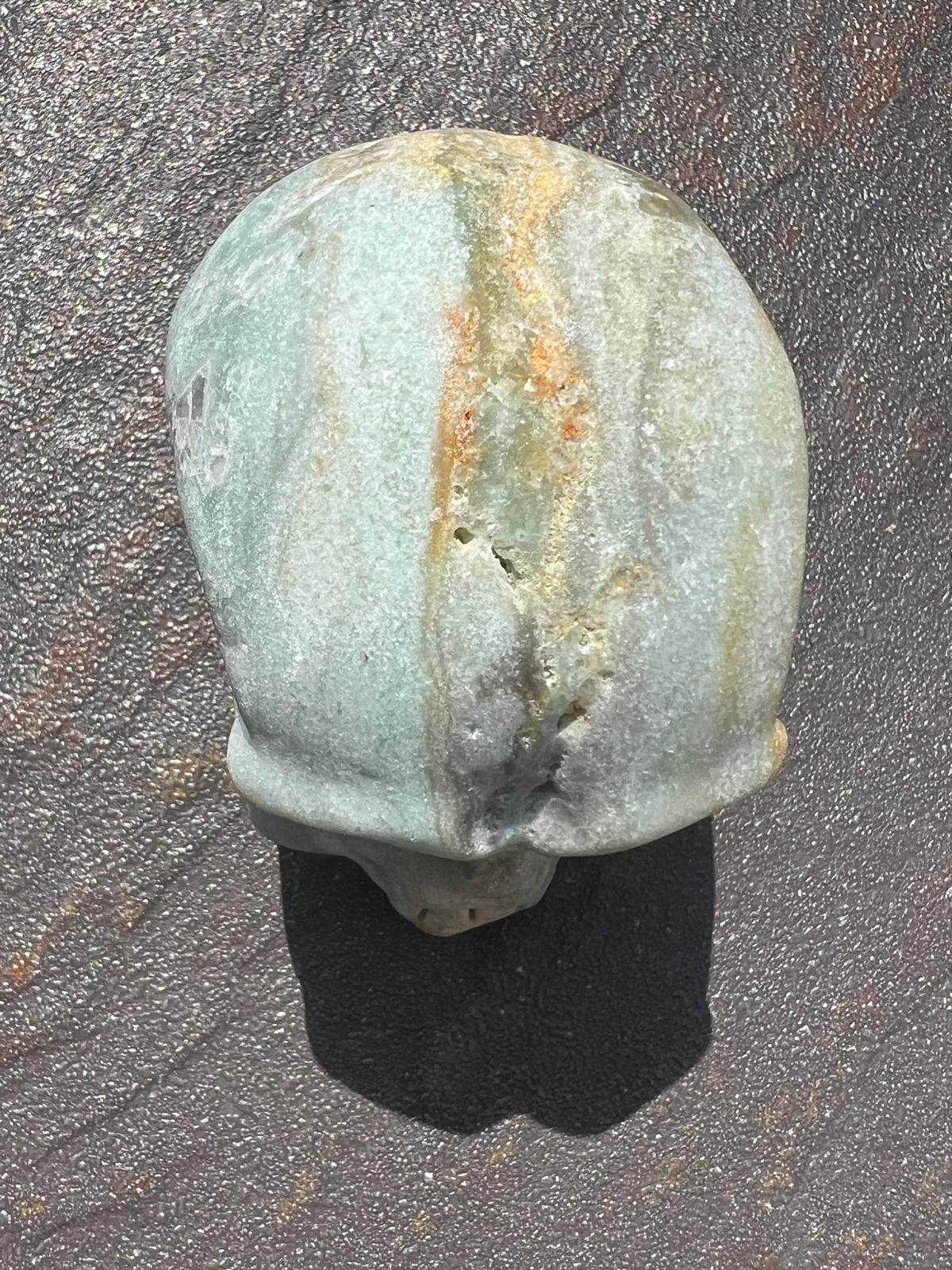 Teschio Calcite Caraibica 388 - immagine 5