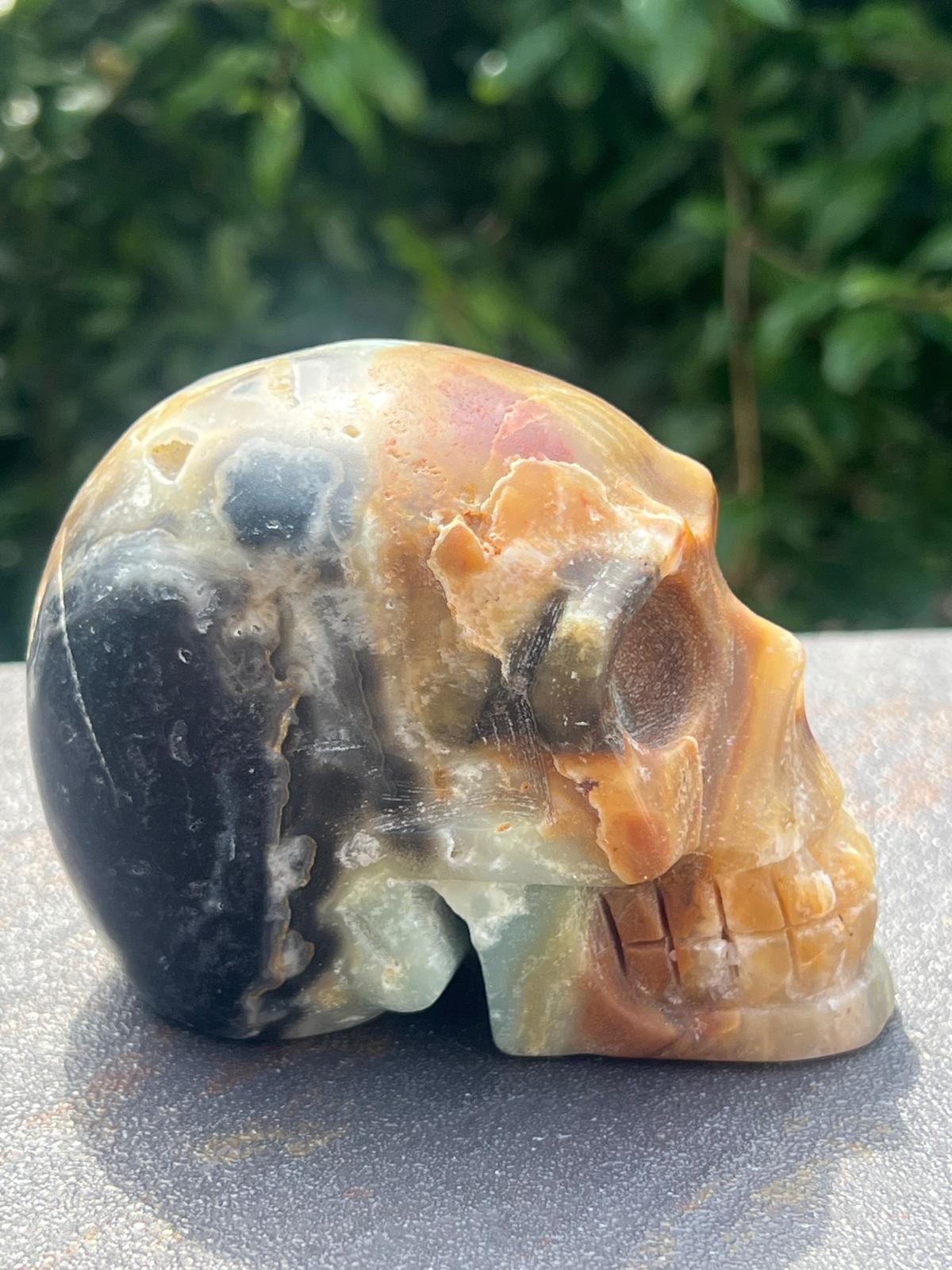 Teschio Calcite Caraibica gr 606 - immagine 3