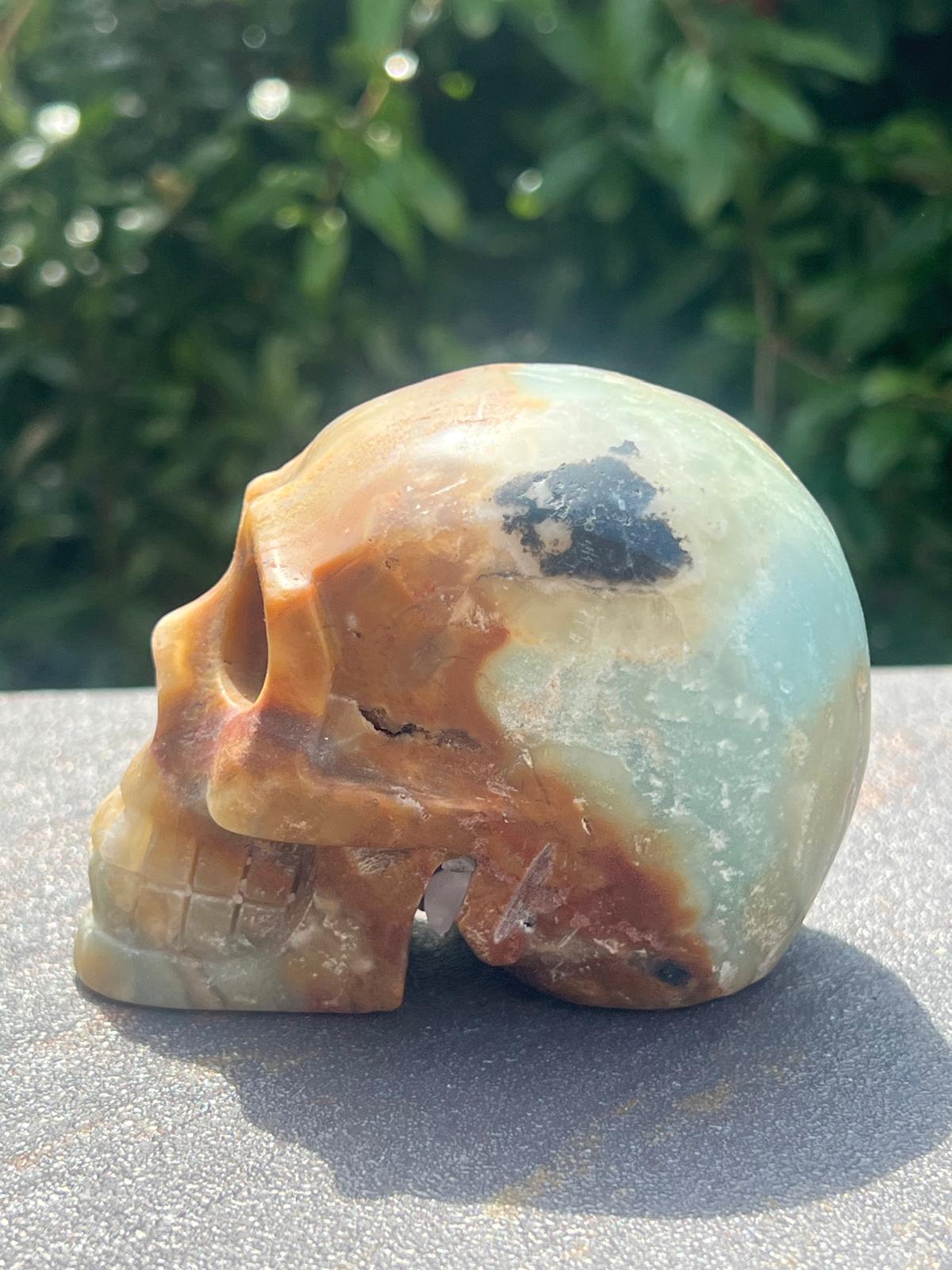 Teschio Calcite Caraibica gr 606 - immagine 6