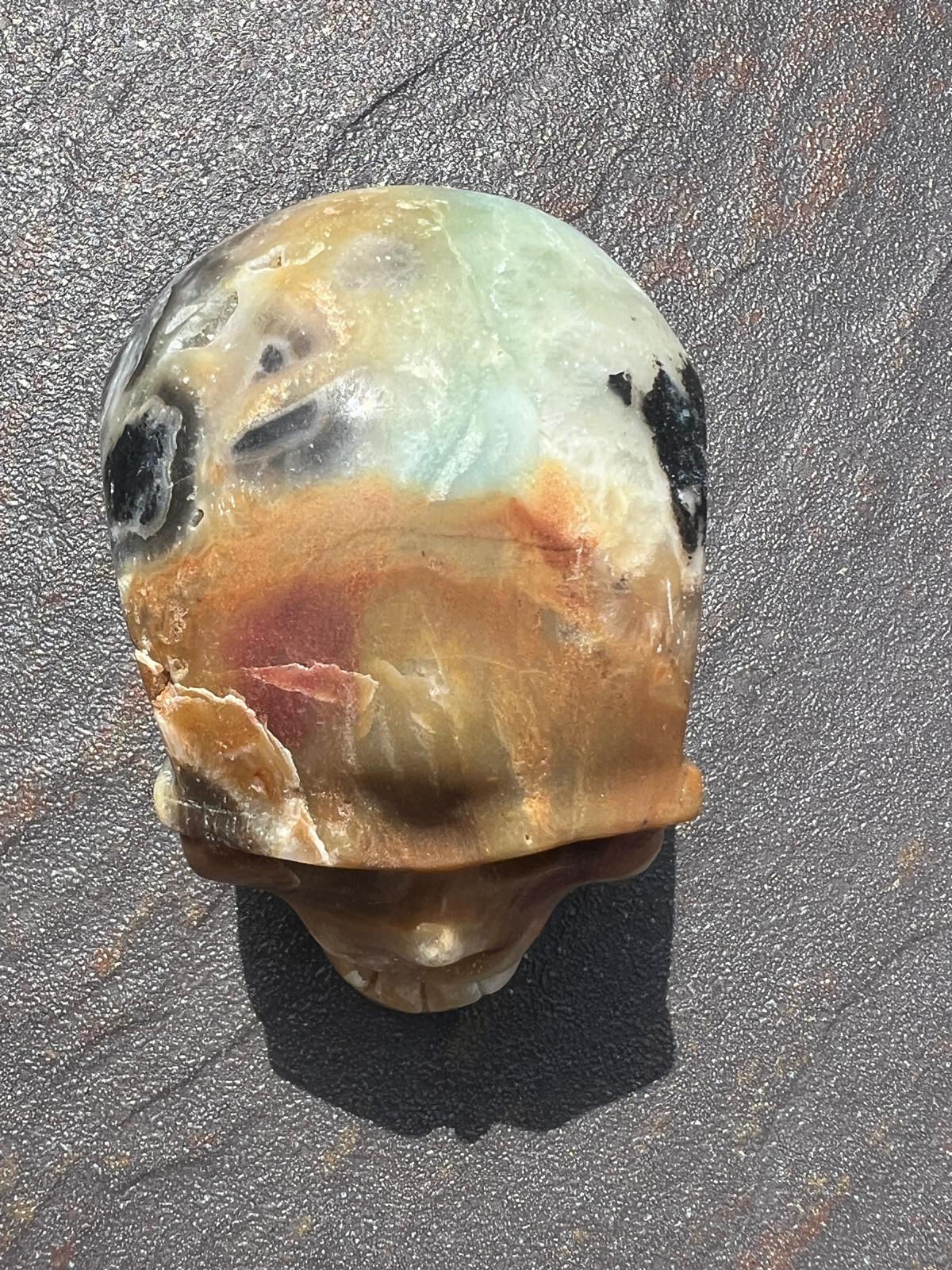 Teschio Calcite Caraibica gr 606 - immagine 7
